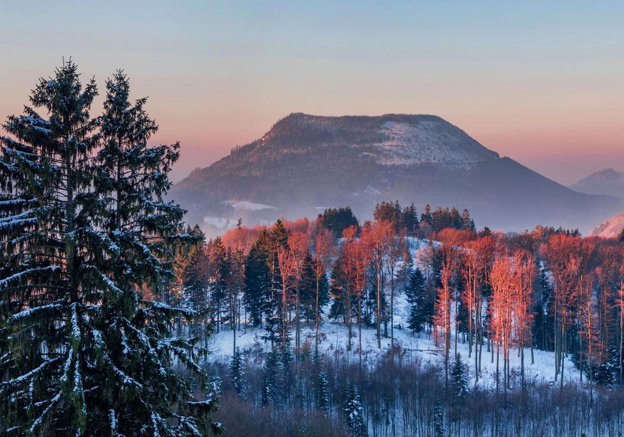 Hotel Restaurant Mont Champ Du Feu Belmont  Екстериор снимка